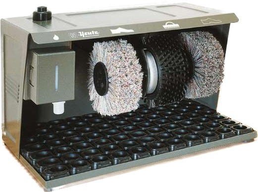 Image Two