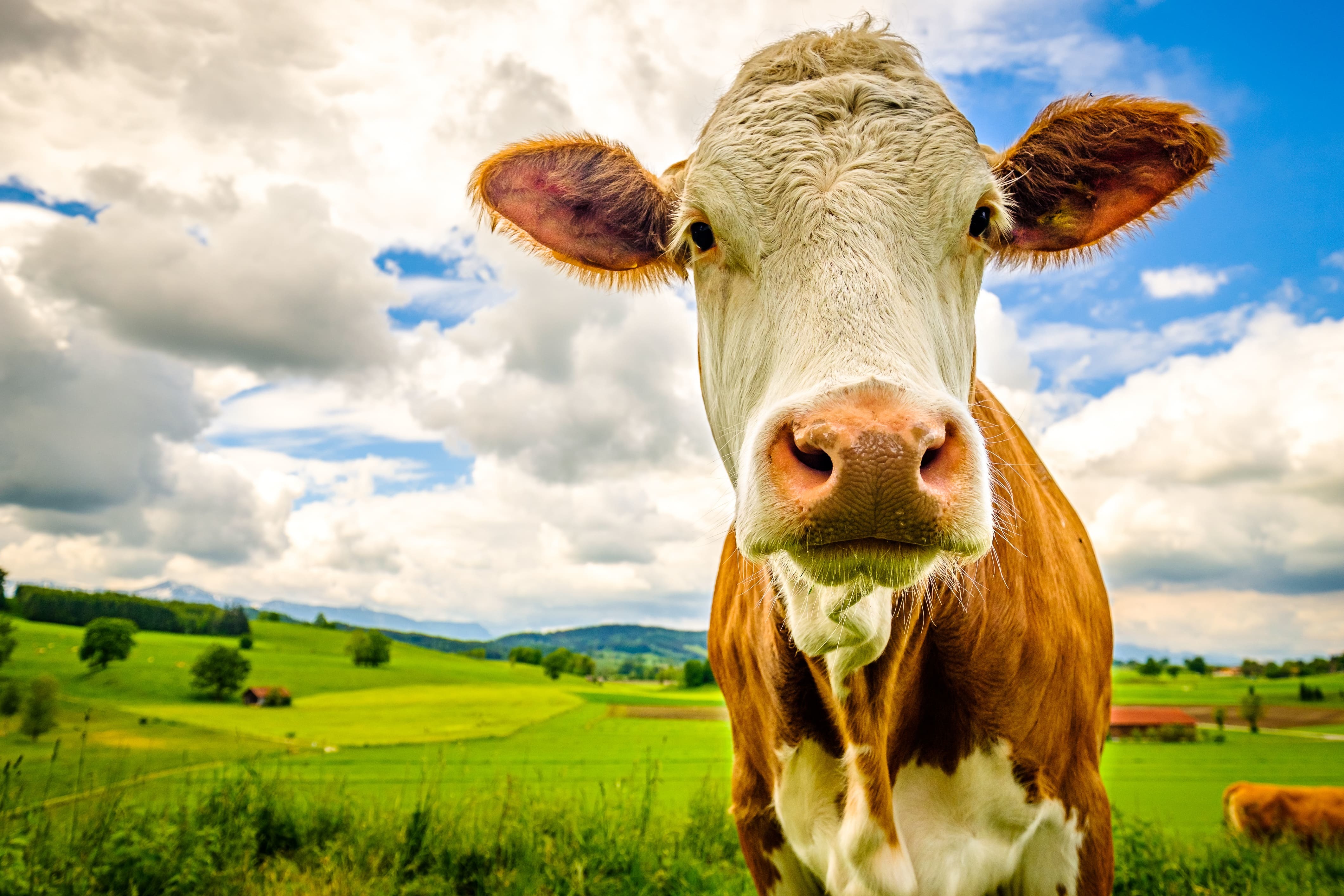 AdobeStock 271759777 1