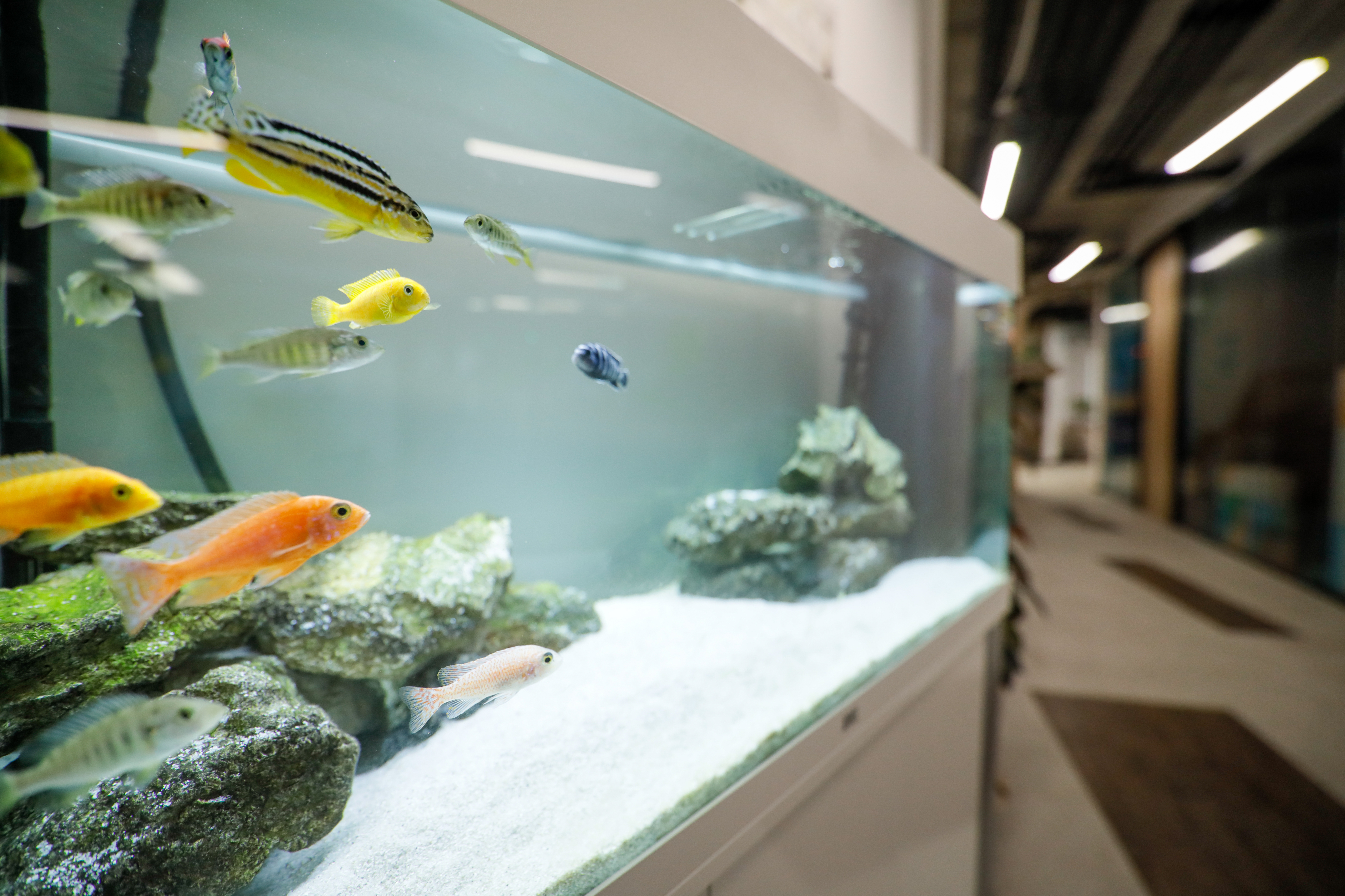 AdobeStock 321905156